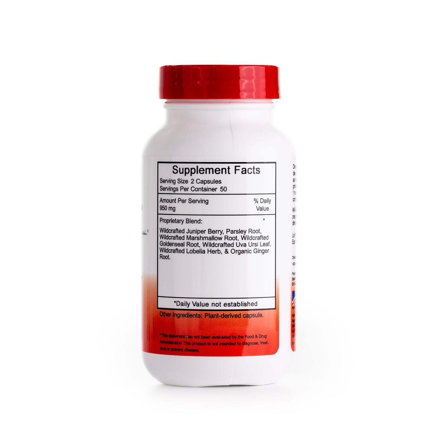 Christopher's Original Formulas Kidney Formula - Kidney Cleanse Detox & Repair Formula - Herbal Blend for Kidney Support Christopher's Original Formulas Au supplements