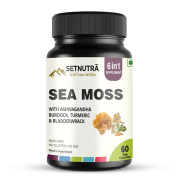 SETNUTRA Well From Within Sea Moss 6 in 1 Super Blend Ashwagandha Burdock Turmeric & Bladderwrack Immunity & Detox Support 60 Veg Capsules Non GMO No Gluten SETNUTRA Well From Within Au supplements