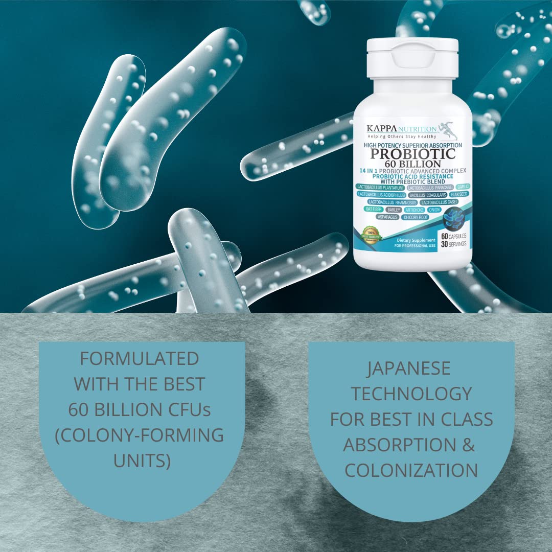 KAPPA NUTRITION Probiotic 60 Billion CFU 14 in 1 Formula with Prebiotics & Acidophilus for Women, Men & Adults, Shelf Stable, Acid Resistant, Natural Supplement 60 Capsules. KAPPA NUTRITION Au supplements