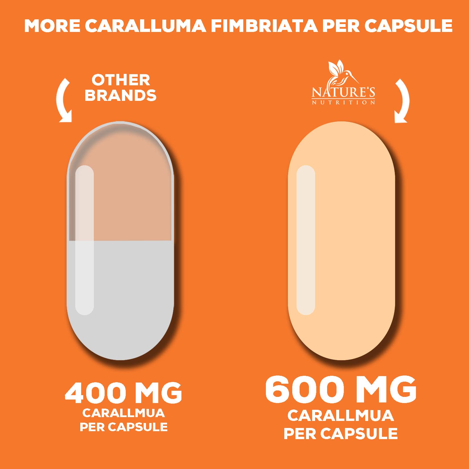 Pure Caralluma Fimbriata Extract Highly Concentrated 1200mg - Natural Endurance Support Nature's Nutrition Au supplements