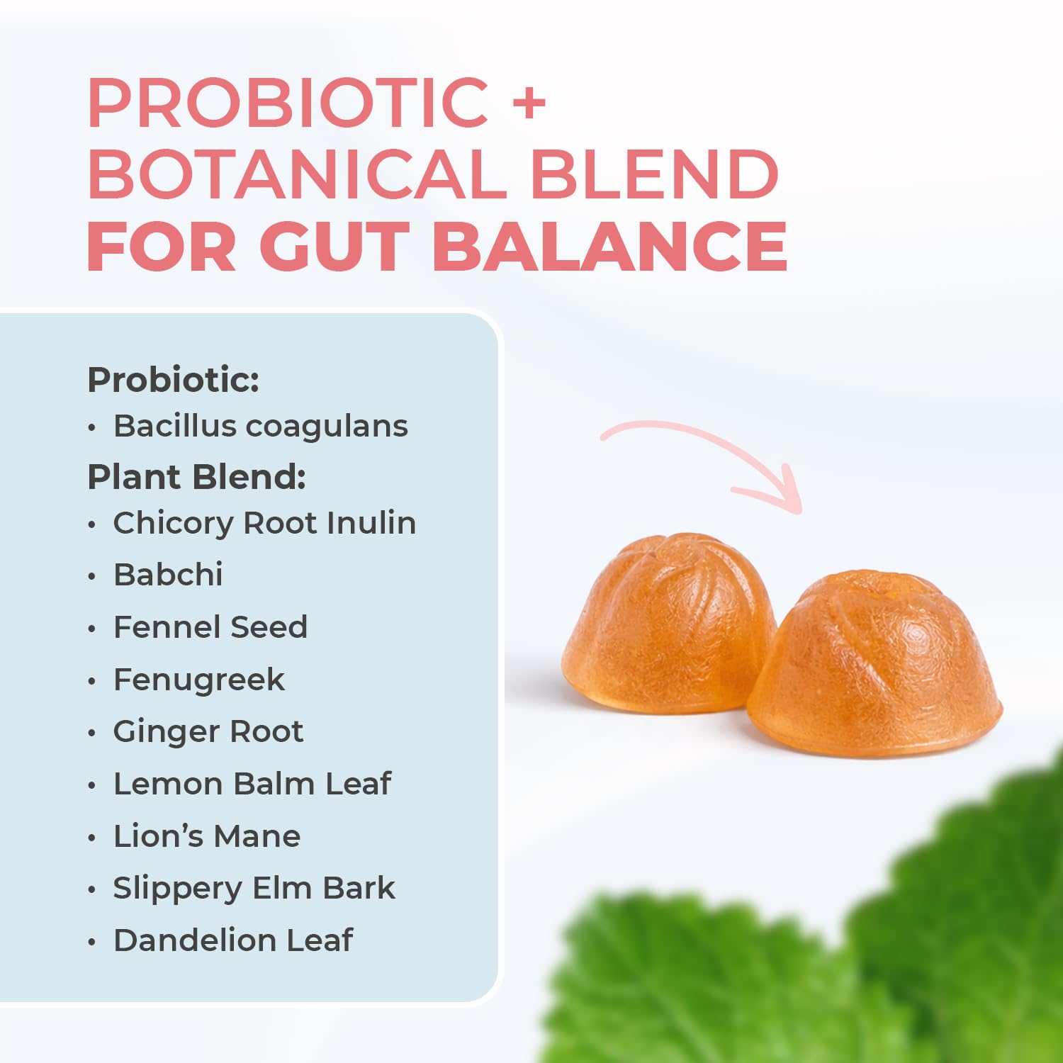 Nature’s NutriWave PrimeBiome Probiotic Gummies – Plant-Based Blend with Inulin, Lion’s Mane, Ginger & More– Non-GMO, No Stimulants, GMP Certified – 30 Gummies, 3 Month Supply Nature’s NutriWave Au supplements