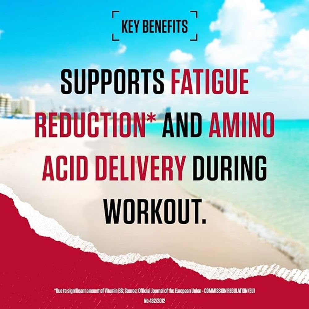 BSN Nutrition Amino X Supplement with Vitamin D, Vitamin B6 and Amino Acids BSN Au supplements