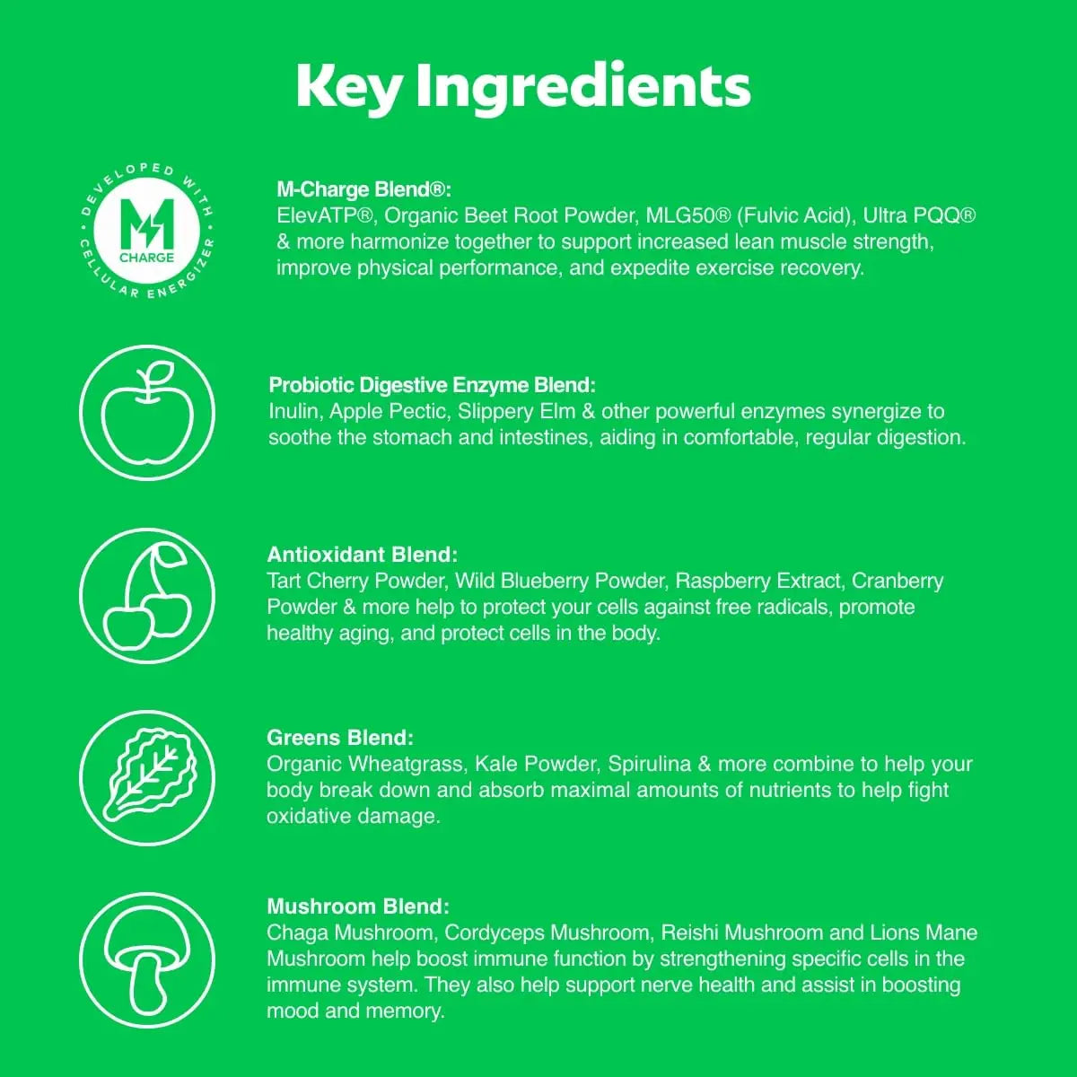 L'Evate You Vitality Daily Greens Powder (28 Servings) 30 Superfoods, 9 Greens - for a Cellular Energy Boost, Powered by M-Charge Complex for All Day Energy (Original) Steve Harvey's L'Evate You Au supplements