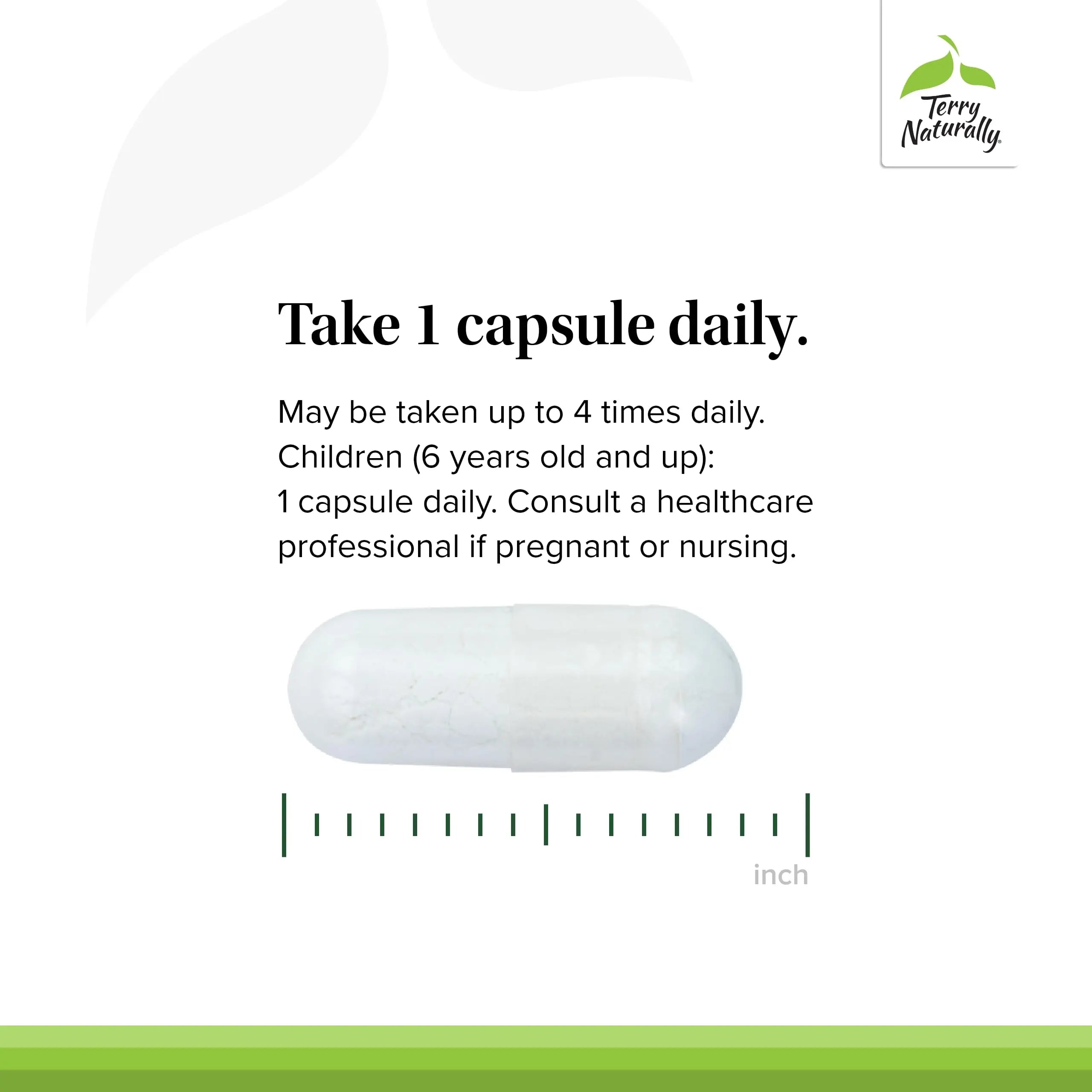 Terry Naturally BioActive Magnesium Complex - Bone & Heart Health Support - Supplement with Vitamin B6, Zinc & Magnesium - Pyridoxal-5-Phosphate Vegan Capsule Supplement - 120 Capsules Terry Naturally Au supplements