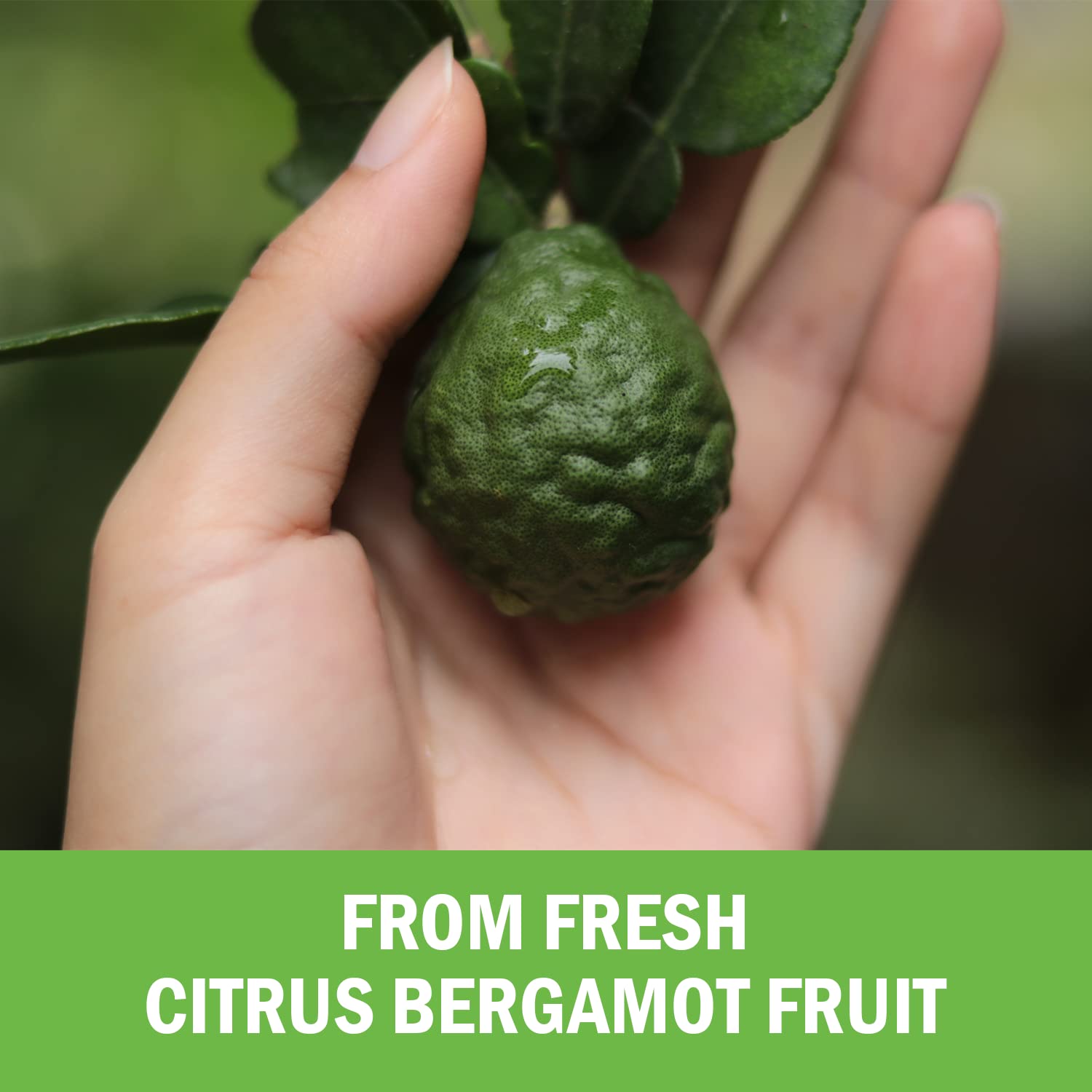 Citrus Bergamot 1000mg - Citrus Bergamot Supplement for Cholesterol and Heart Health - Ultra Concentrated from Fresh Fruit for Enhanced Absorption - Vegan, Non-GMO, Gluten-Free - 120 Mini Capsules BioSchwartz Au supplements