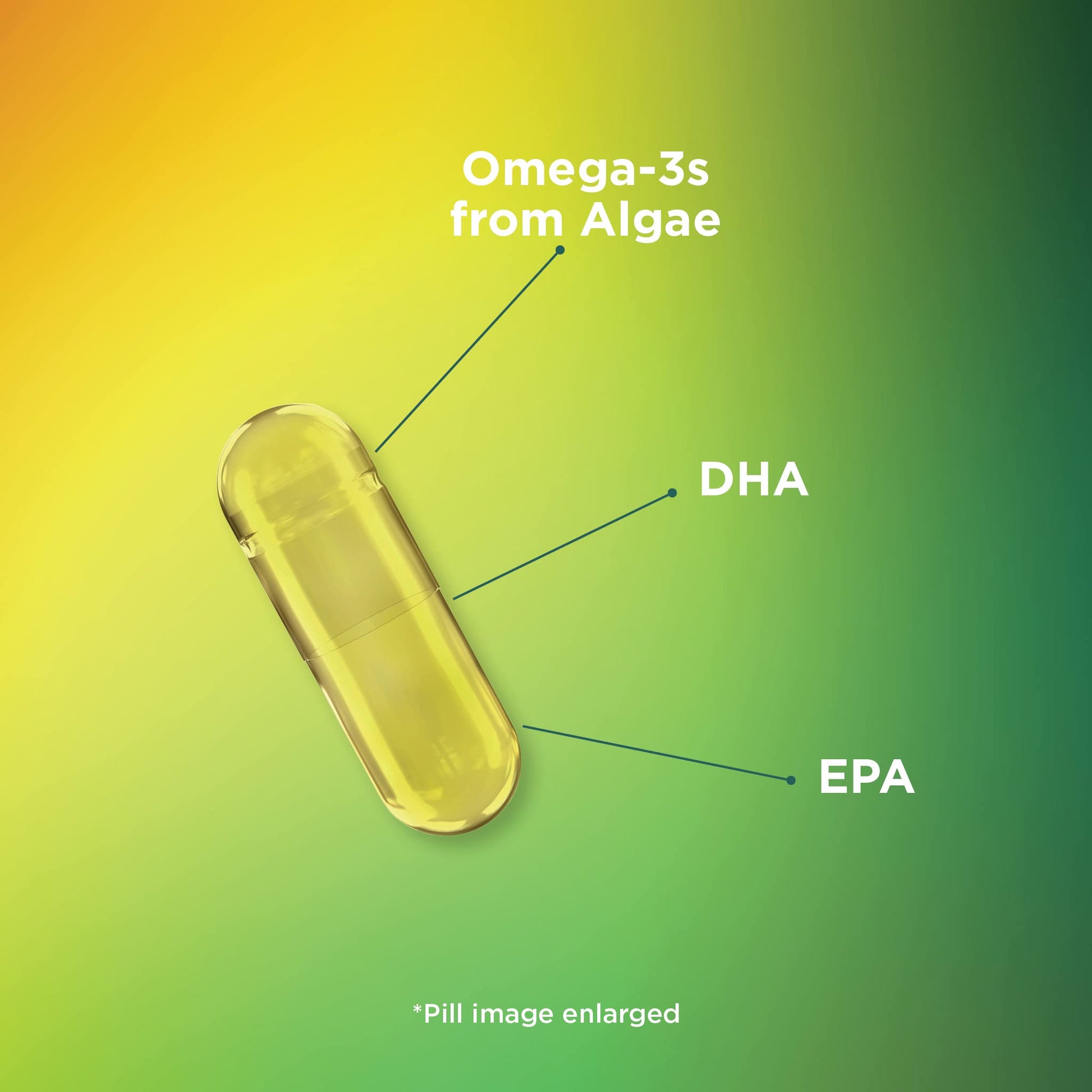 Theralogix PhytoLife Omega - 90-Day Supply - Vegan Algae Omega-3 Supplement Theralogix Au supplements