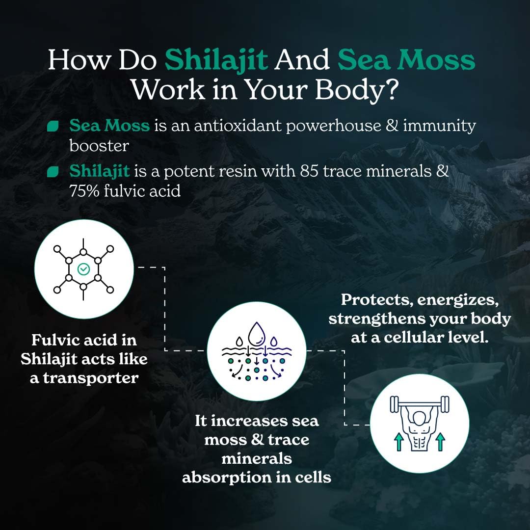 Better Alt Shilajit Sea Moss Capsules Pack of 2 with Ashwagandha & Black Pepper Extract with 85+ Essential Minerals & Antioxidants| Boosts Energy & Metabolism - 120 Servings, 240 Capsules Better Alt Au supplements