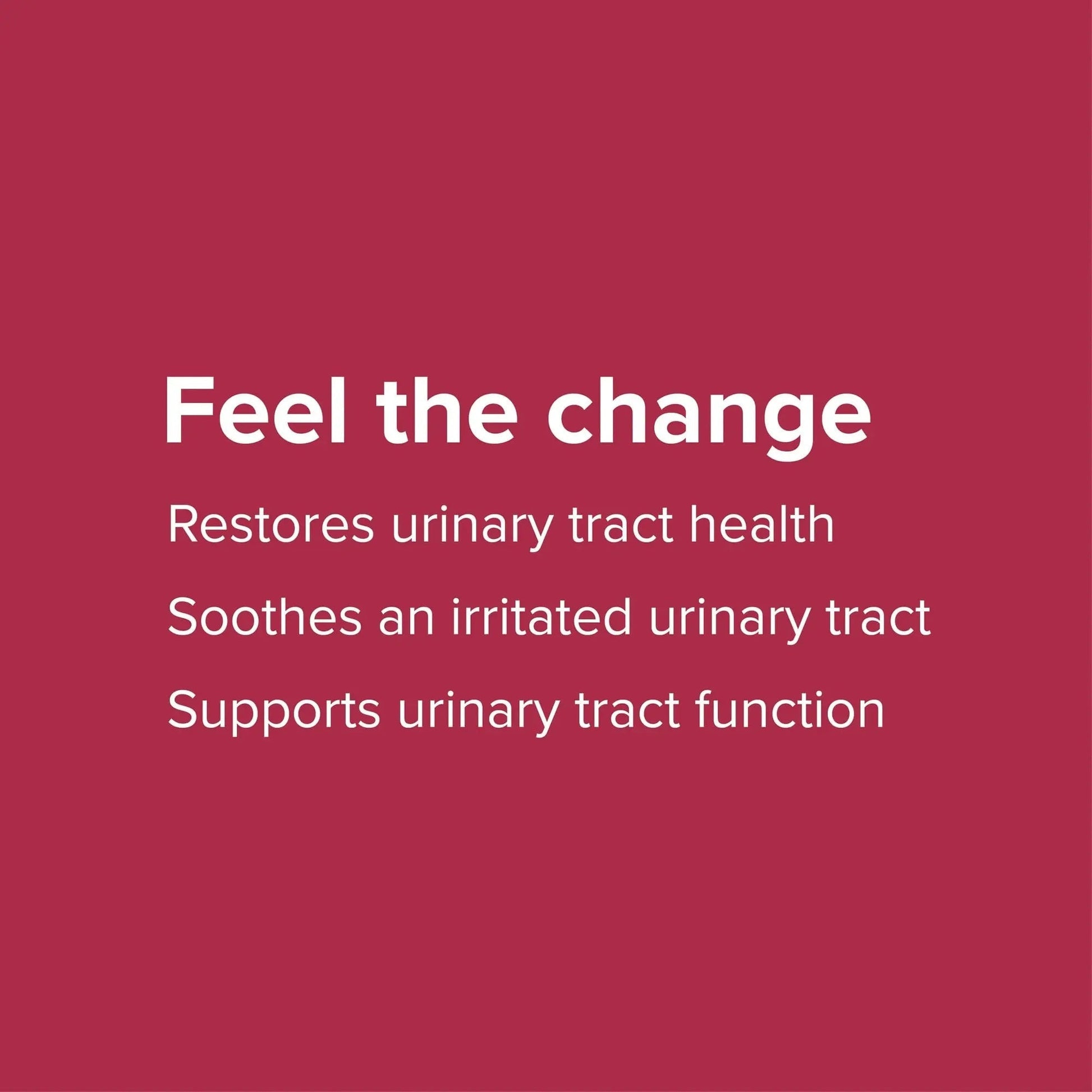 Vibrant Health, U.T. Vibrance Powder, Crisis Intervention for Urinary Tract Health, 10 Servings Vibrant Health Au supplements