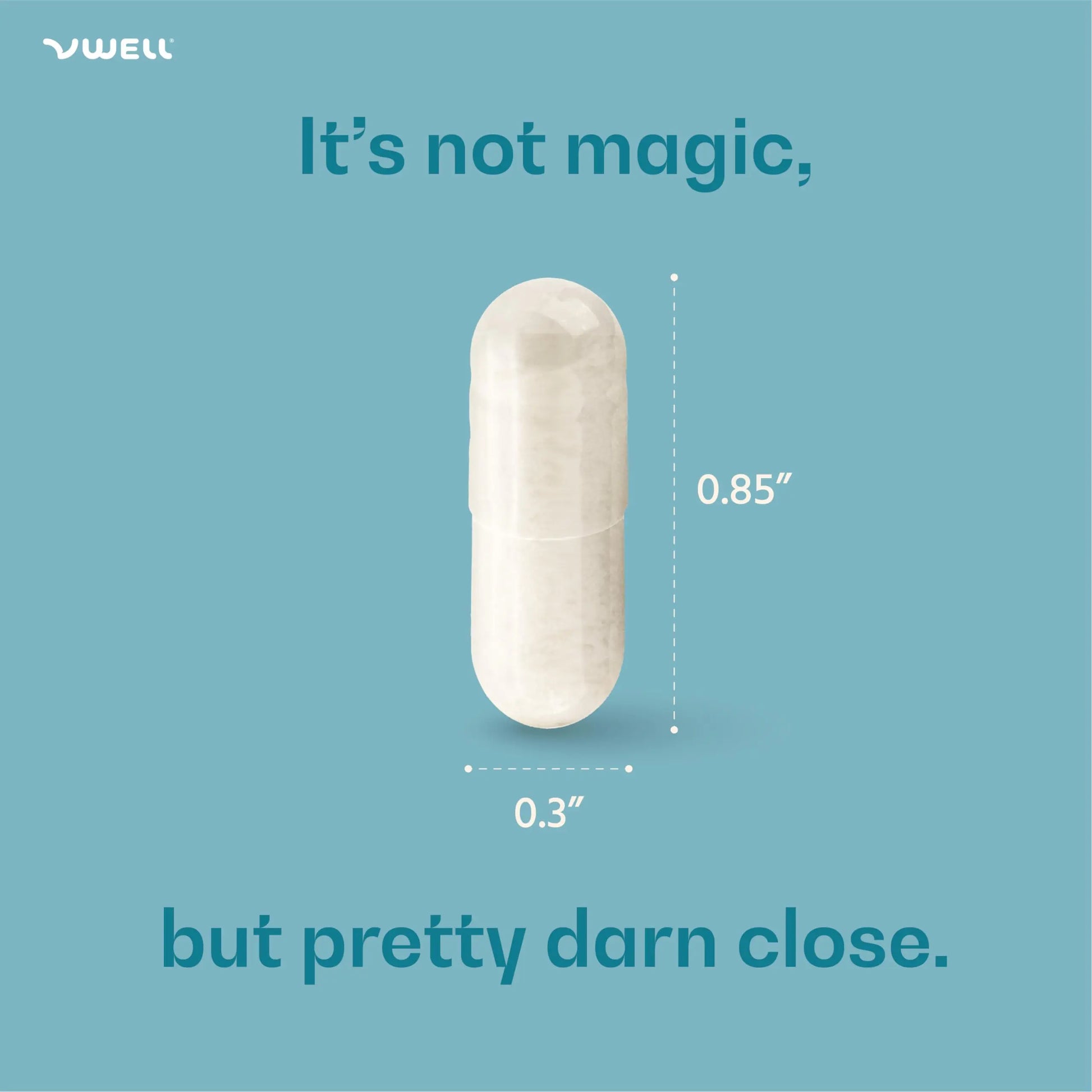 VWELL Boric Acid Vaginal Suppositories - Homeopathic Solution Maintains and Balances Healthy Vaginal pH & Microbiome Intimacy - Doctors Recommended (One Size, 30, Count) VWELL Au supplements