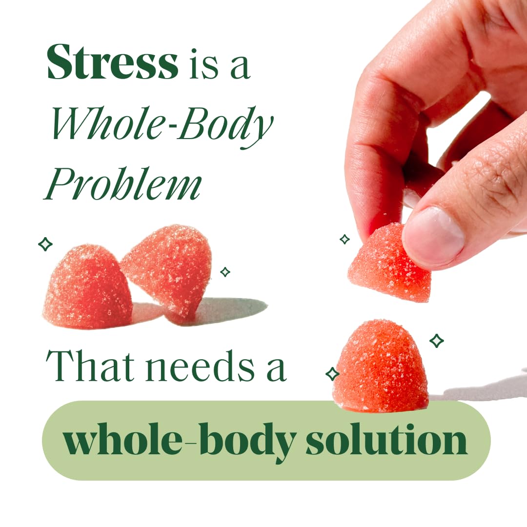 Semaine Stress Less Gummy with Cortisol Care™ 60 Count – Daily Support for Stress, Mood & Sleep Semaine Au supplements