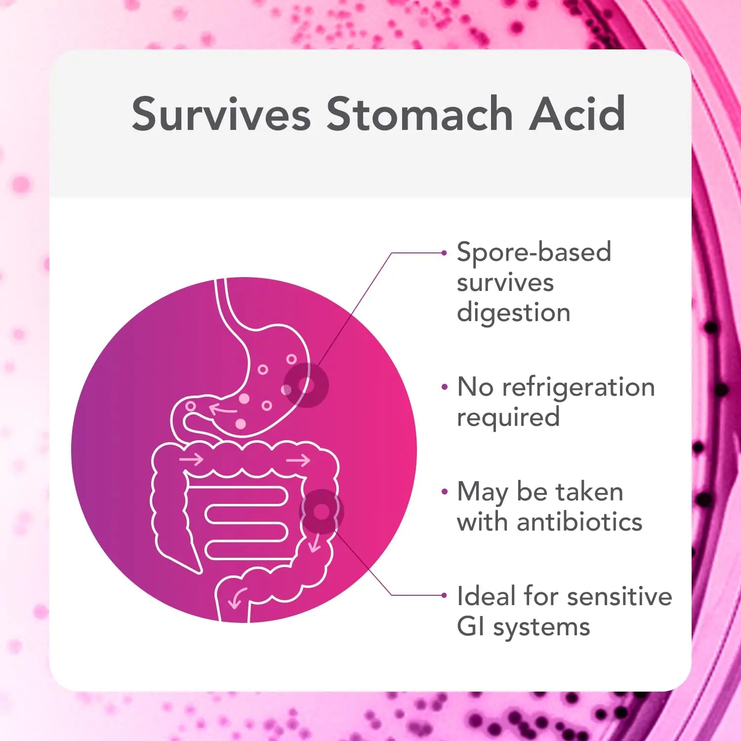Biocidin Proflora 4R Spore Probiotic - Digestive Health Probiotics for Women & Men - Clinically Researched Bacillus Strains & Organic Aloe, Marshmallow Root for Gut Support (30 Vegan Capsules) Bio-Botanical Research Au supplements