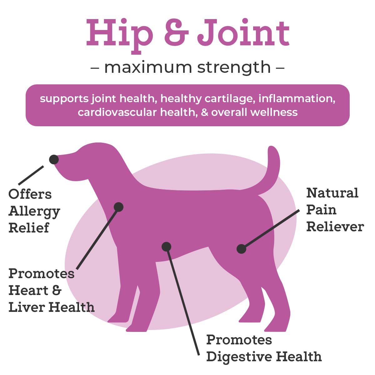 VetPro Dog Hip and Joint Supplement - Pain and Inflammation Relief Chews VetPro Complete Au supplements