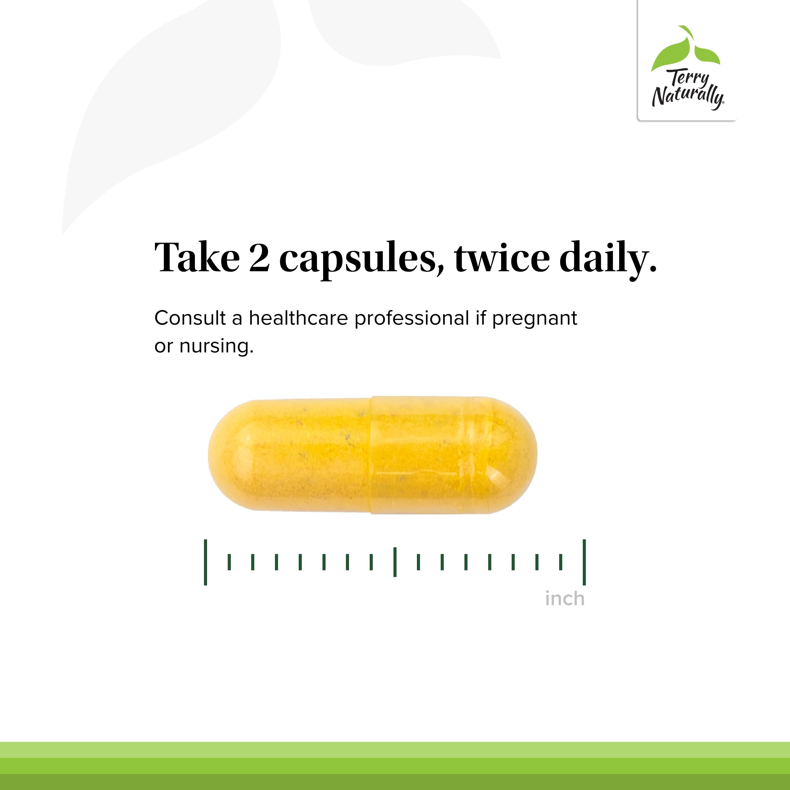 Terry Naturally Healthy Feet & Nerves - Herbal Supplement with Bioactive Vitamin B12 - Circulation & Nerve Health Support Supplement - Vegan Capsules with Boswellia Serrata - 60 Capsules Terry Naturally Au supplements