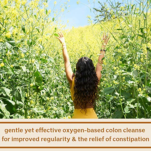 Solluna by Kimberly Snyder Feel Good Detoxy — Natural Colon Cleanse & Digestion SOLLUNA BY KIMBERLY SNYDER Au supplements