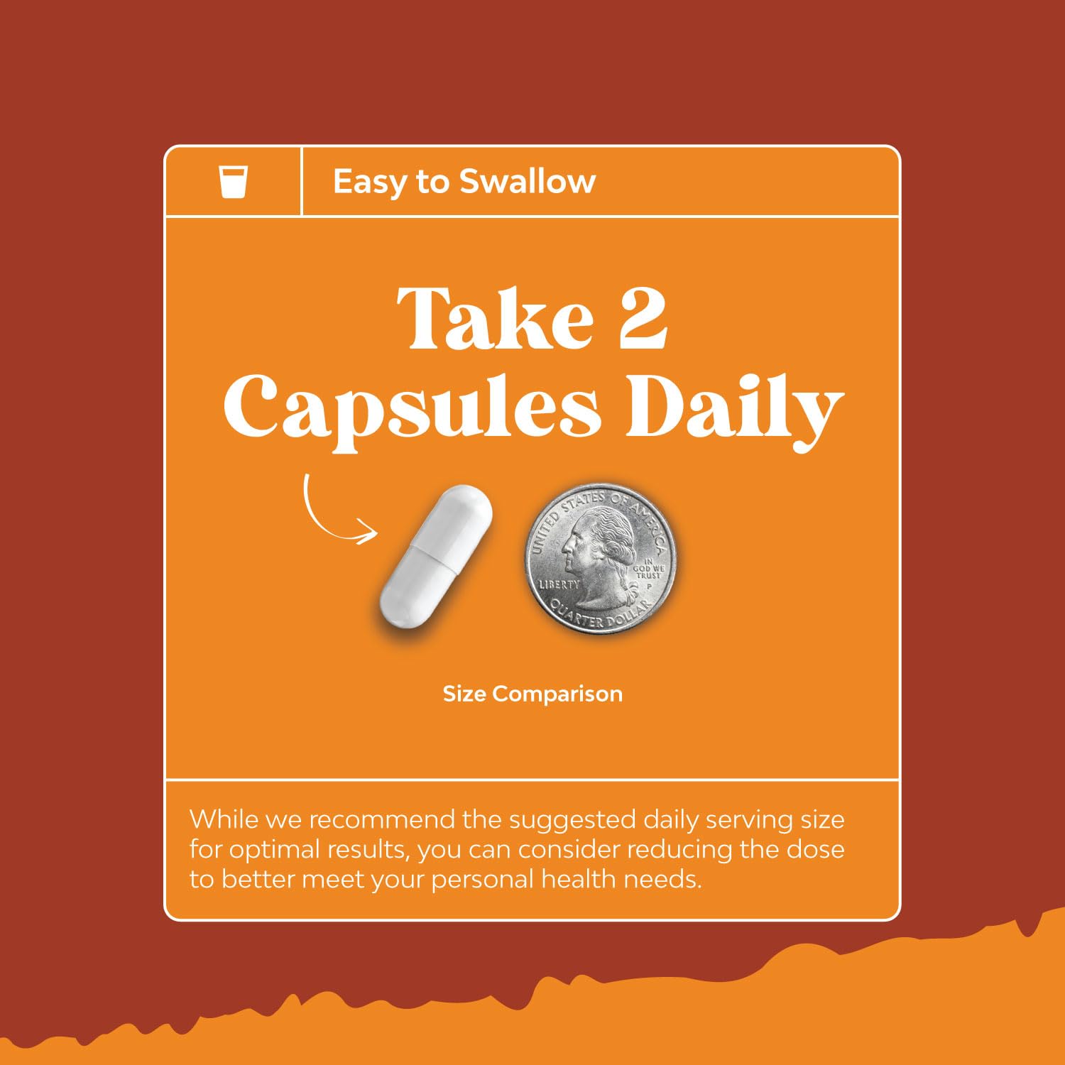 Natural White Kidney Bean Extract - White Kidney Bean Energy Booster AMPK Activator Natures Craft Au supplements