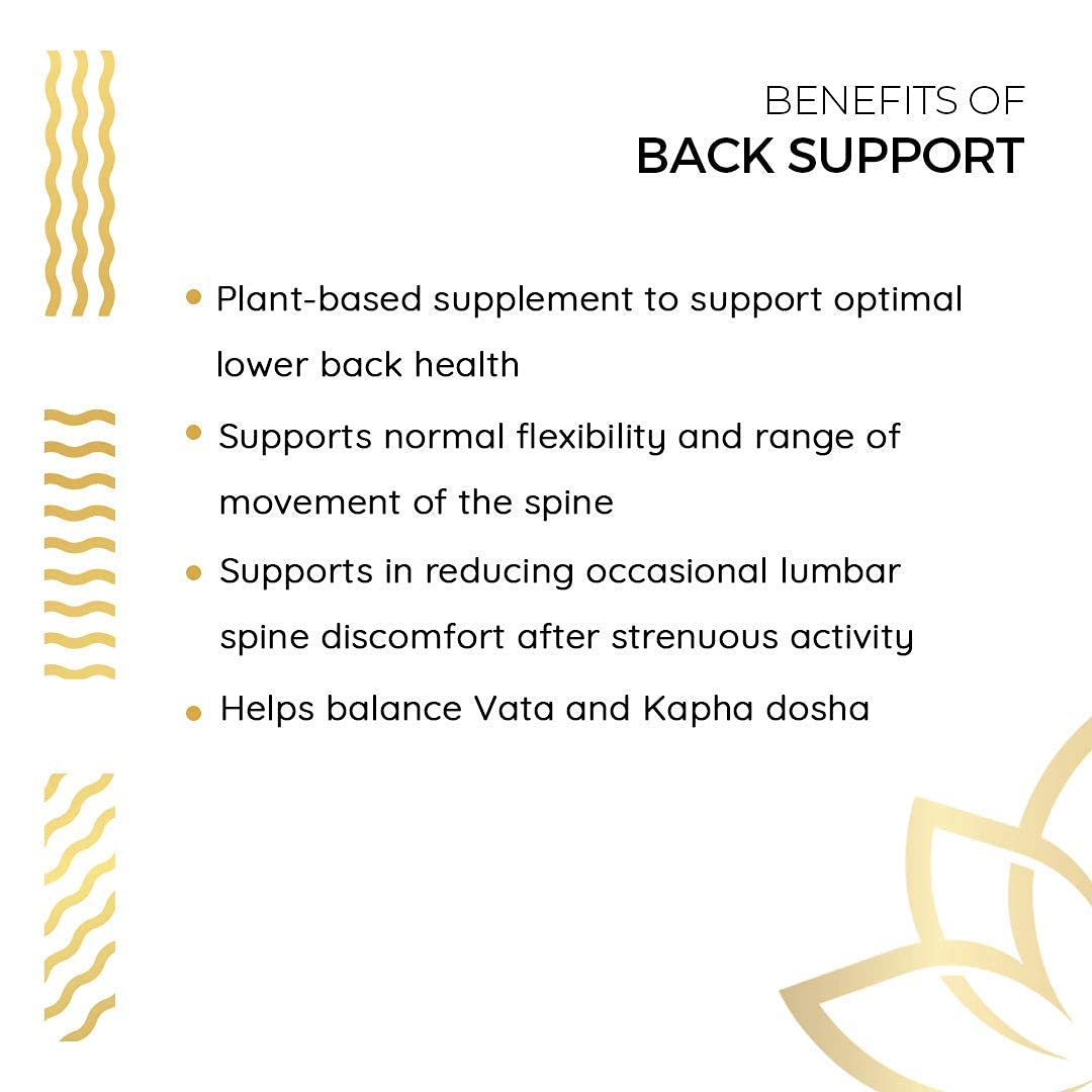 Kerala Ayurveda Back Support Herbal Capsules - Eases Occasional Discomfort of Lower Back & Supports Normal Movement of Spine, 90 Count Kerala Ayurveda Au supplements