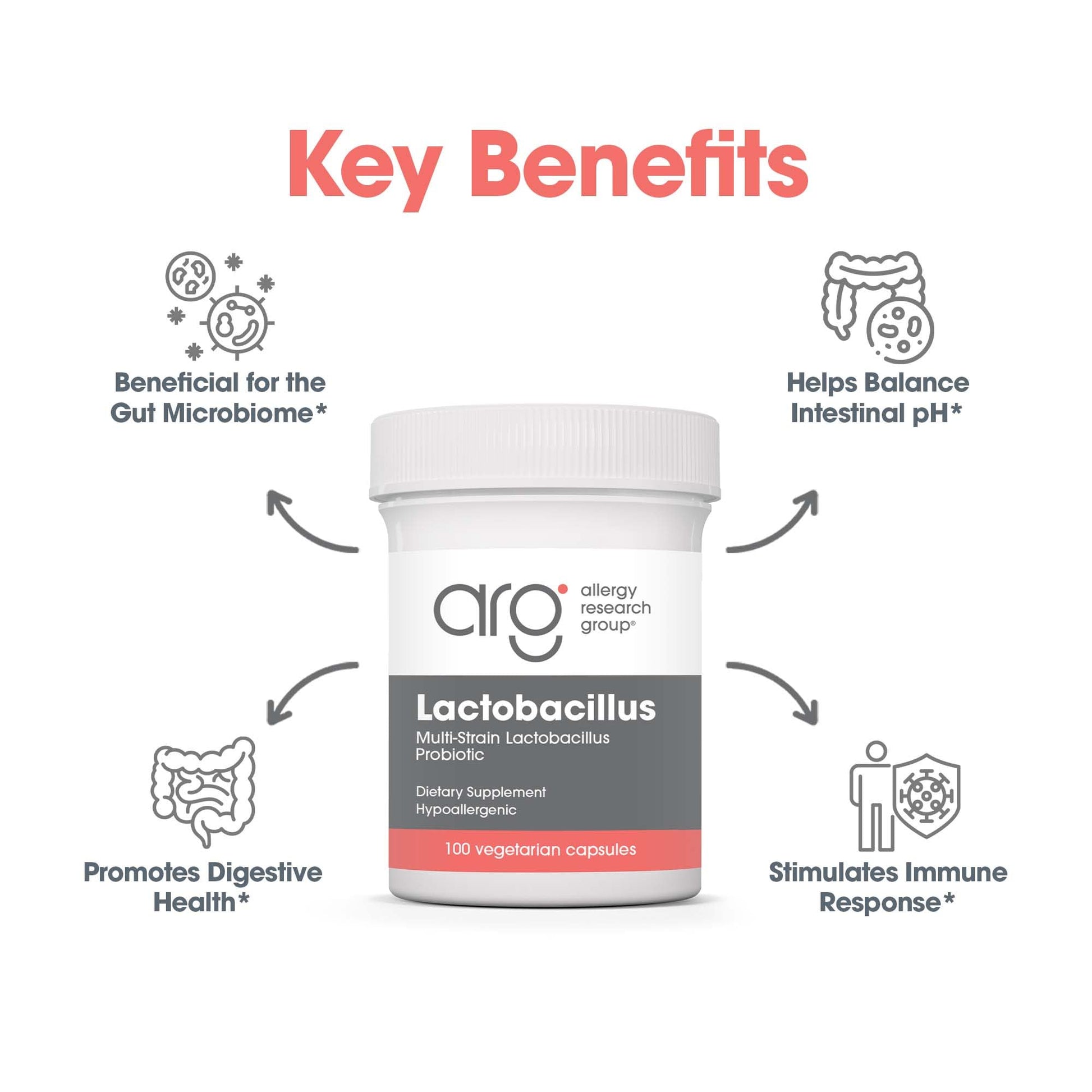 Allergy Research Group Lactobacillus Supplement - Probiotics for Men & Women, Digestive Health, Gut Health, Vegetarian Capsules - 100 Count Allergy Research Group Au supplements