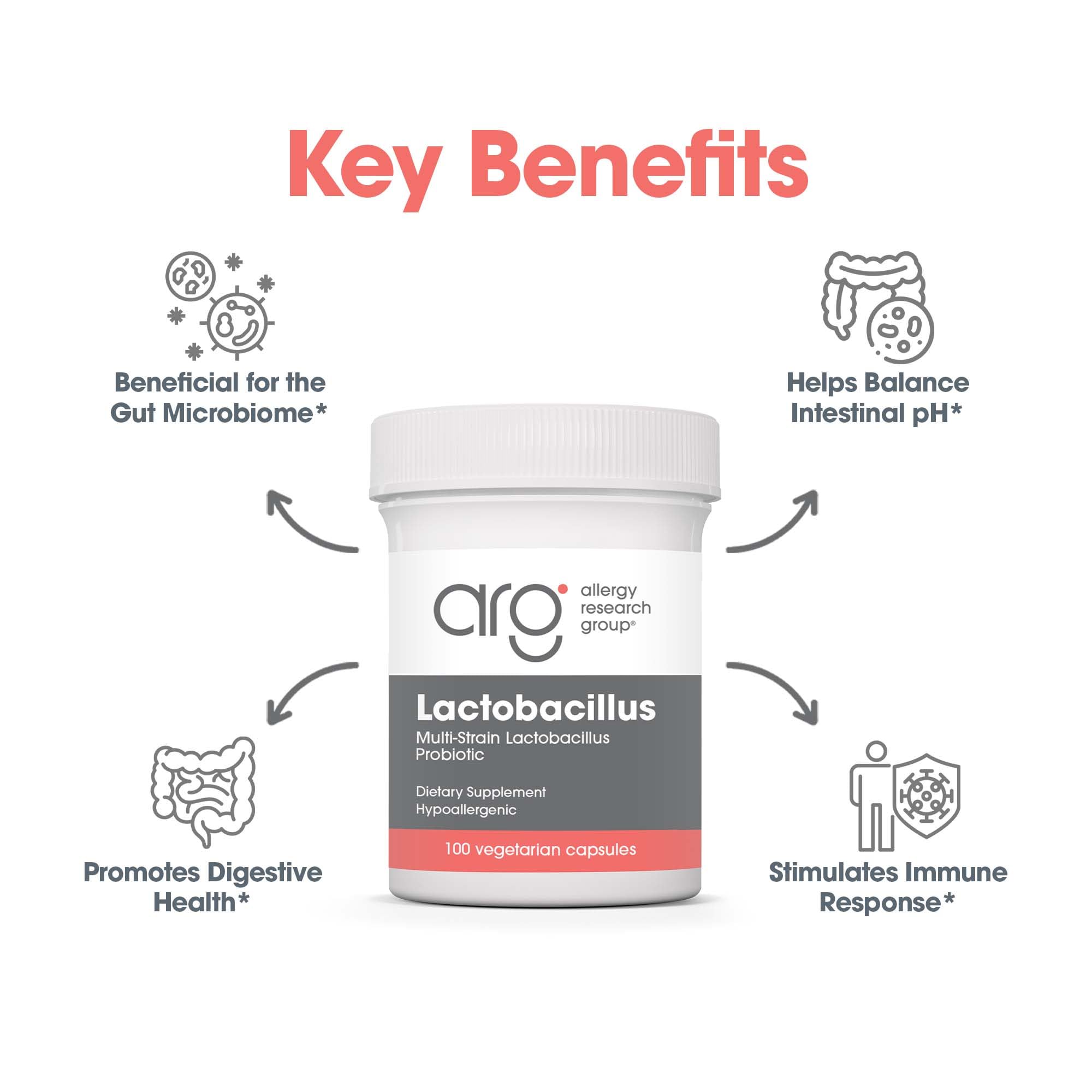Allergy Research Group Lactobacillus Supplement - Probiotics for Men & Women, Digestive Health, Gut Health, Vegetarian Capsules - 100 Count Allergy Research Group Au supplements