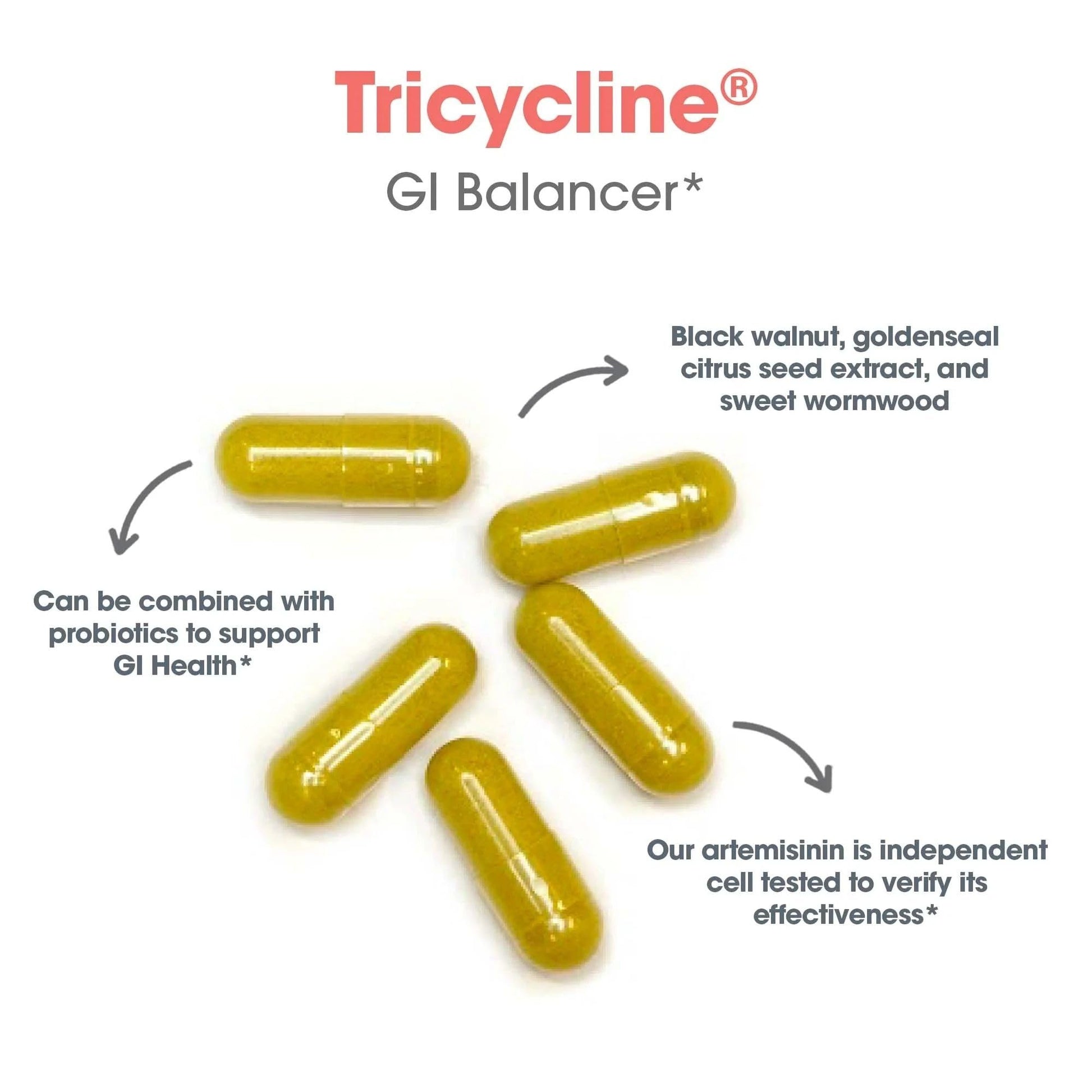 Nutricology TriBiotics - Berberine Artemisinin Botanical Blend - Gastrointestinal Support - Hypoallergenic - 45 Servings - 90 Capsules Allergy Research Group Au supplements