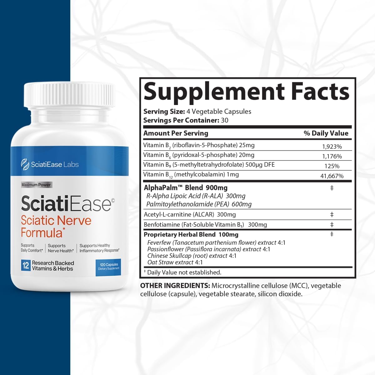 SciatiEase Sciatic Nerve Health Support Sciatic Nerve Supplement SciatiEase Au supplements