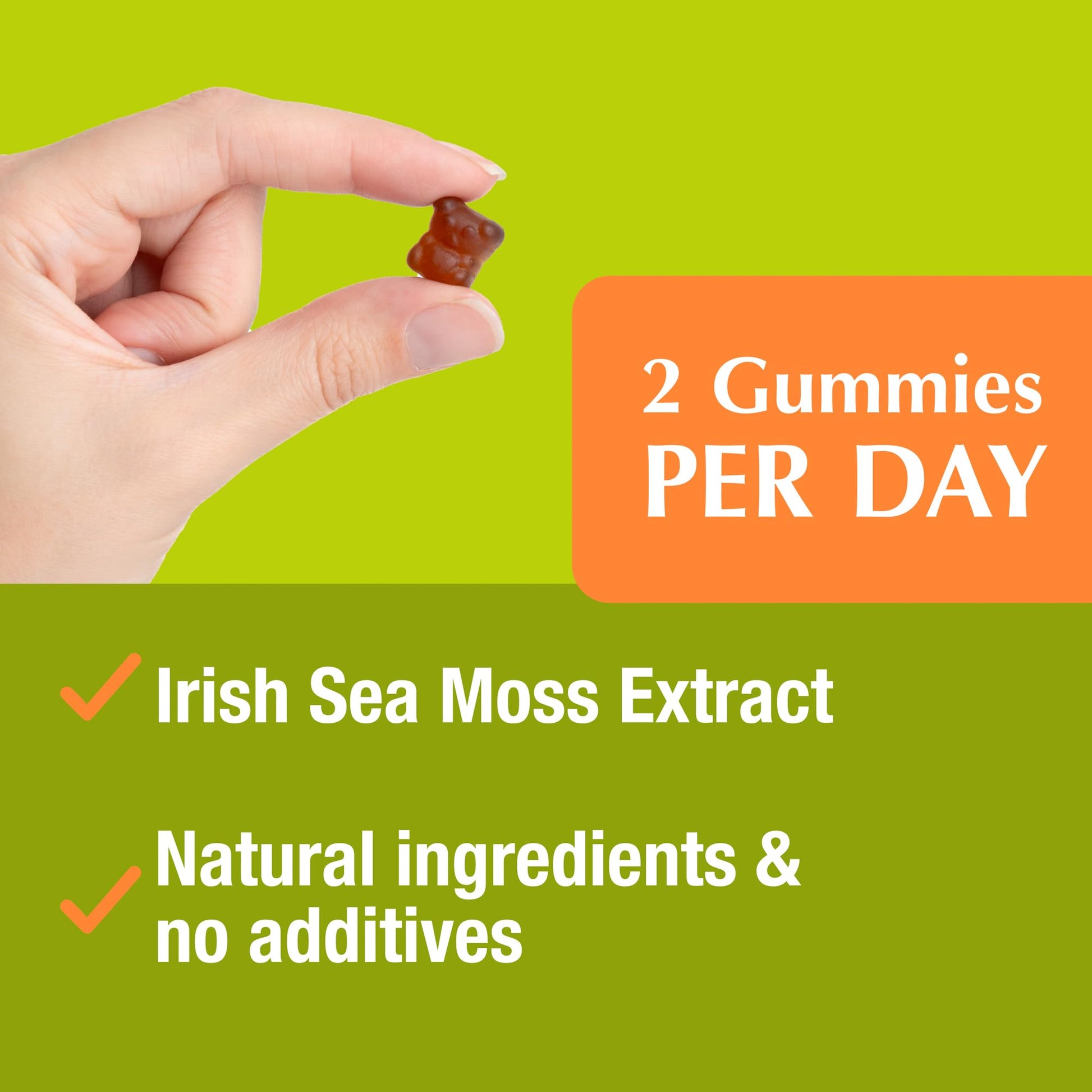 Jiva Botanicals - Irish Sea Moss Gummies with Bladderwrack & Burdock Root 3000mg Jiva Botanicals Au supplements