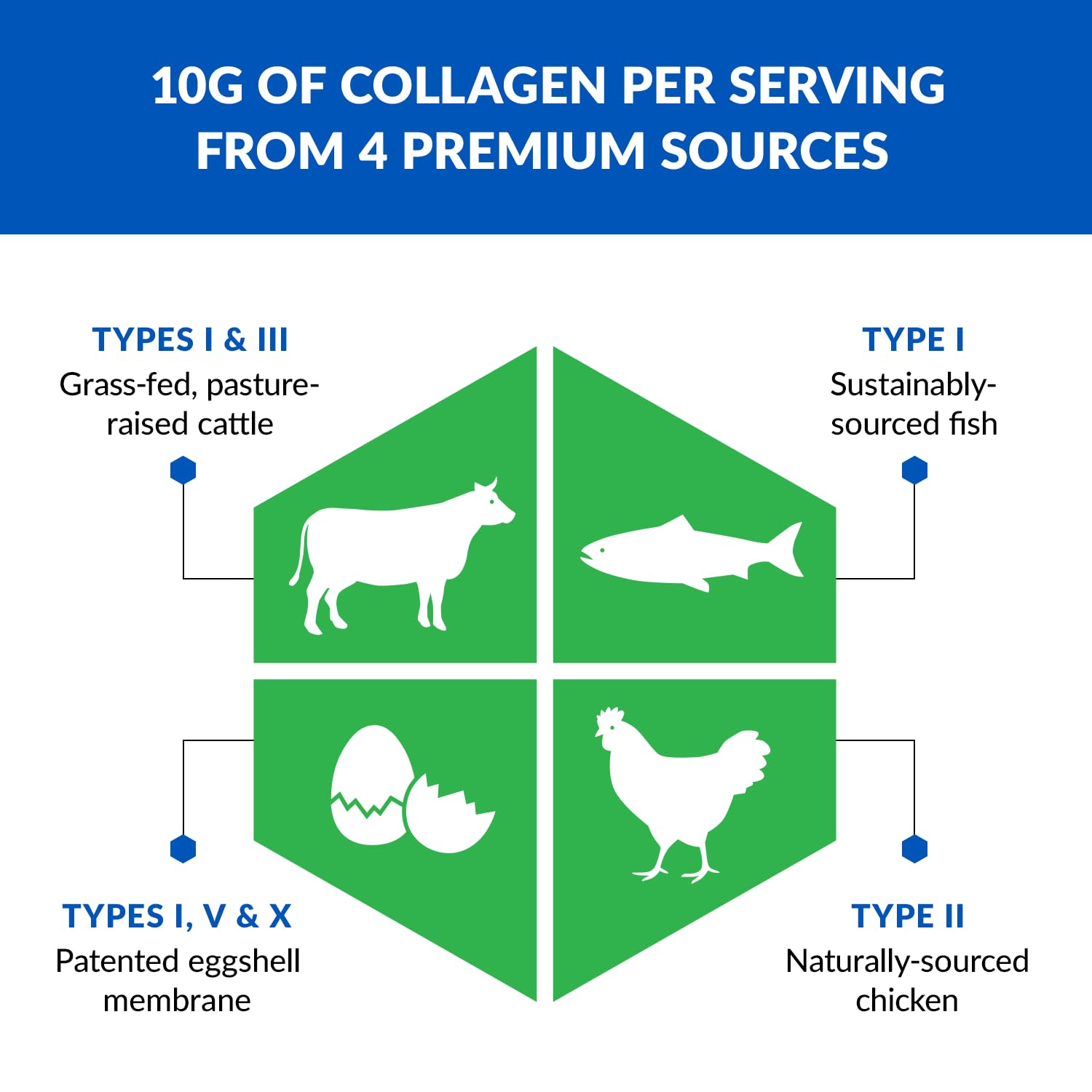 BioTrust Ageless Multi Collagen Peptides Powder – 5 Types (I, II, III, V, X) – Hydrolyzed BioTrust Au supplements