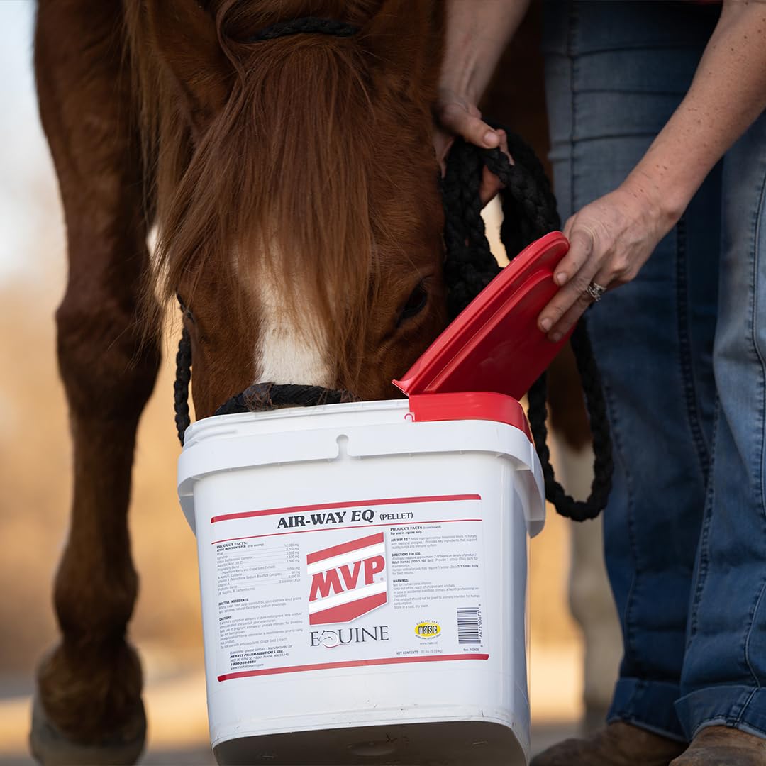 MVP Air-Way EQ Supports Healthy Lung Function and Seasonal Allergy Support in Horses, 5lb - 40 Servings MVP Au supplements