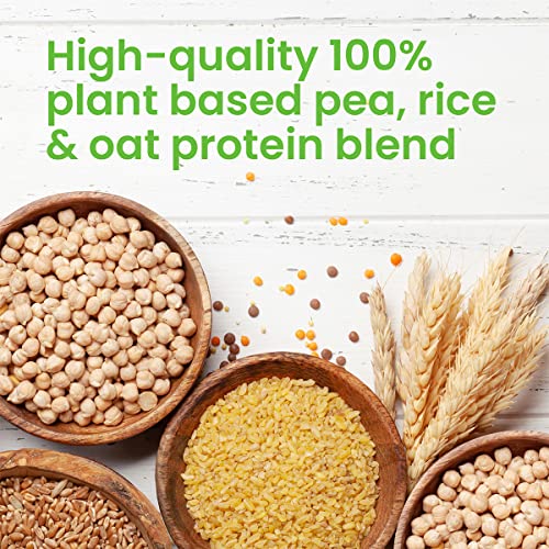 VPlab Vegan Protein Powder 500g - 16 Servings, 100% Plant Based and Natural Vegan Protein Shake vplab nutrition Au supplements