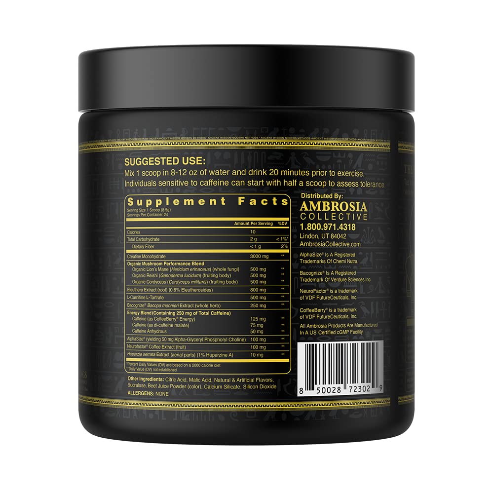 Ambrosia Kinetic Organic Preworkout, Mushroom Enhanced Natural Pre Workout Supplement Ambrosia Au supplements