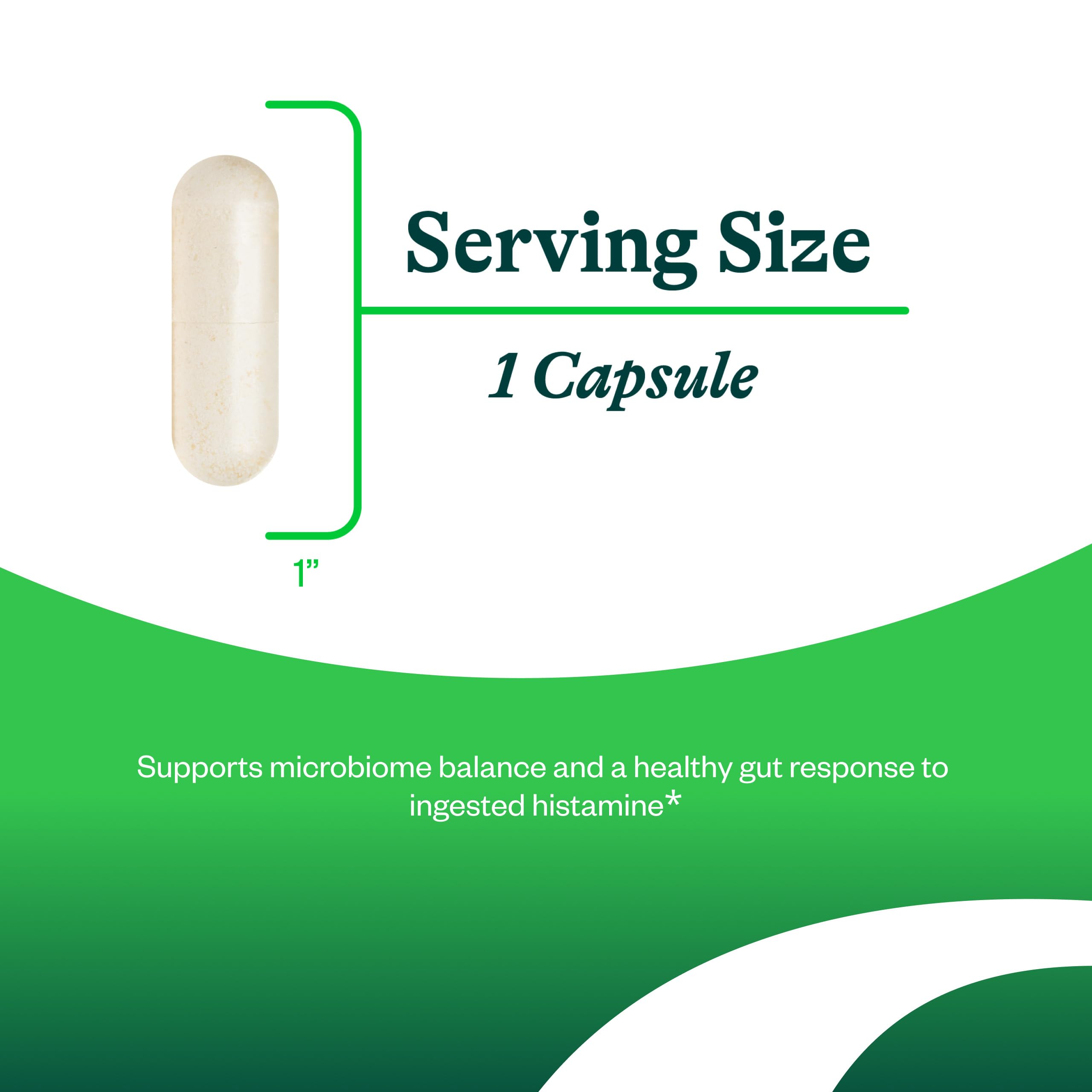 Seeking Health ProBiota HistaminX - Digestion Supplement for Gut Health Support - Support Histamine with Lactobacillus Plantarum & Lactobacillus Salivarius - Support Immune & Skin Health - 60 Capsules Seeking Health Au supplements