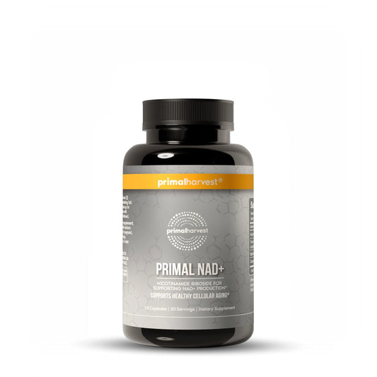 Primal Harvest NAD+ Supplement: Nicotinamide Riboside, Trans-Resveratrol, Betaine, CoQ10, NAD Supplements for Cellular Health, Energy, and Mitochondrial Support (60 Count (1 Pack) Primal HarvestAU supplements