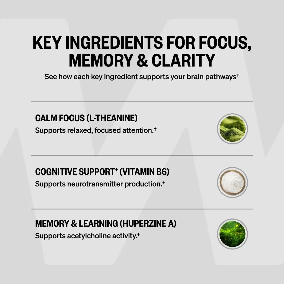 ONNIT Alpha Brain Nootropic Brain Supplement for Focus, Memory, Mental Clarity, Cognitive Support with L-Theanine and Vitamin B6, 90 Count ONNIT Au supplements