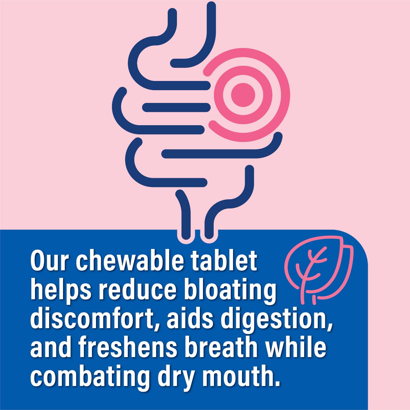 Probiotiv Chewable Probiotics for Daily Bloating w/ 5 Billion CFU – “Two-in-One Combo” Probiotiv Au supplements