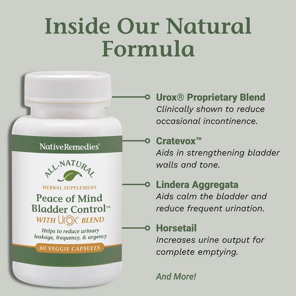 Native Remedies Bladder Control Supplements - Peace of Mind with Urox - Bladder Support for Women & Men, for Overactive Bladders Health - Reduce Nighttime Urination - Non-GMO Vegan Capsules (60 Count) Native Remedies Au supplements