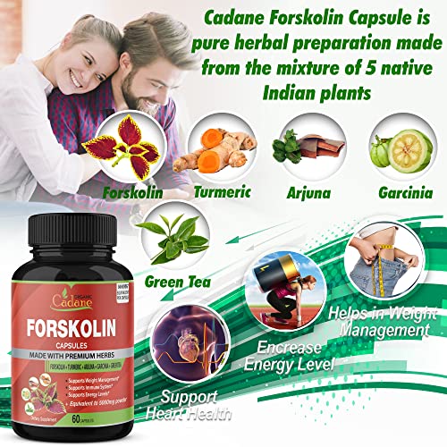 2 Packs Organic Forskolin Supplements Capsules 5000mg with Turmeric, Arjuna, Garcinia Cambogia Organic Cadane Au supplements