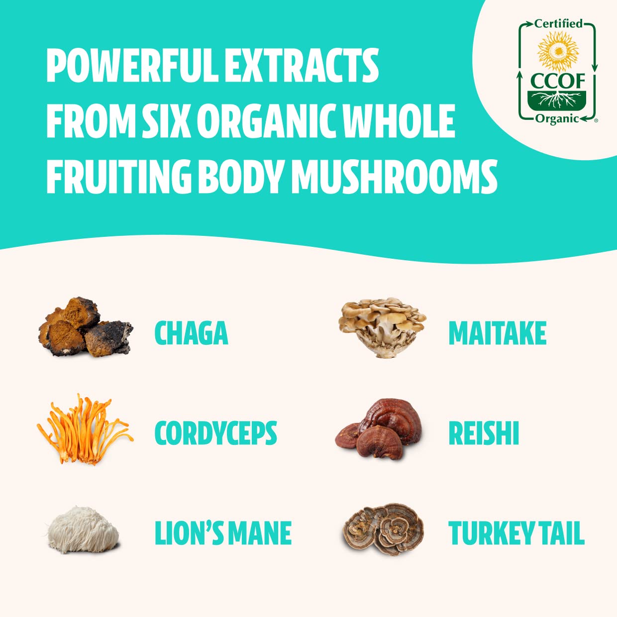 FreshCap Ultimate Mushroom Complex - Lions Mane, Reishi, Cordyceps, Chaga, Turkey Tail FreshCap Mushrooms Au supplements