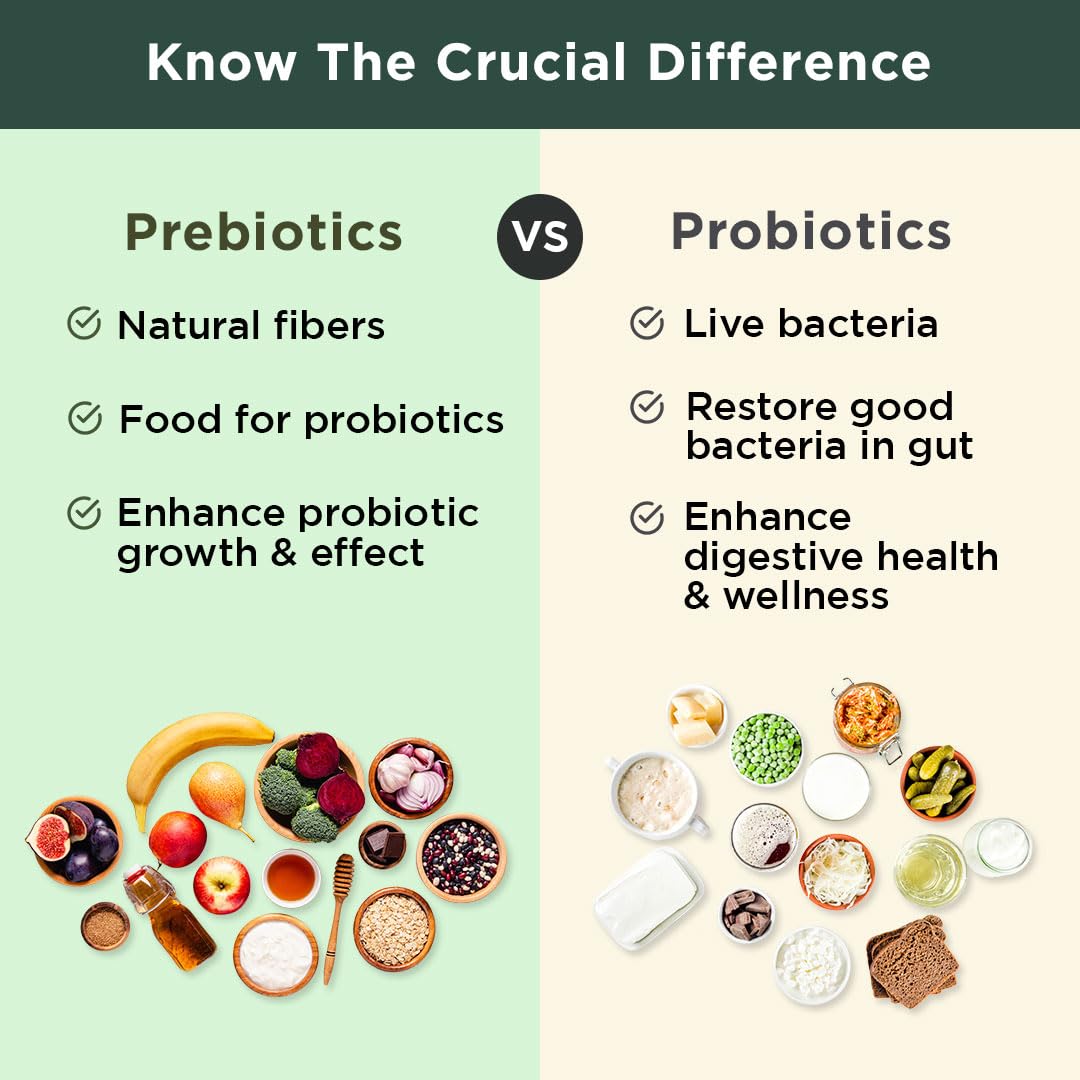 BB Company Previtalize | Prebiotics for Women, Prebiotic Fiber for Gut Health, Digestive Health | Food for Good Probiotics