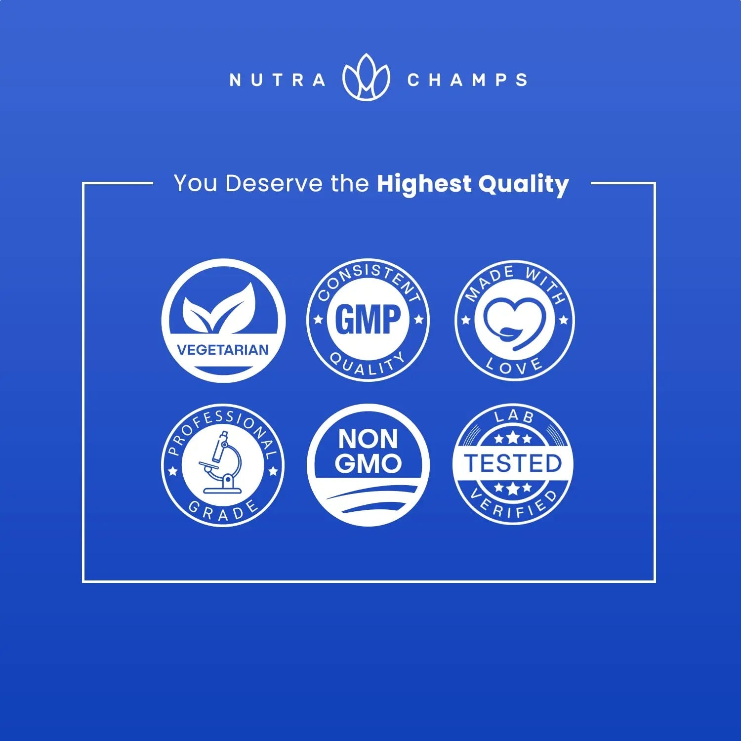 NutraChamps Multivitamin for Men, 240 Count, Vitamins A, B, C, D, E, Biotin, Zinc, Mens Gummy Multivitamins Supplement NutraChamps Au supplements