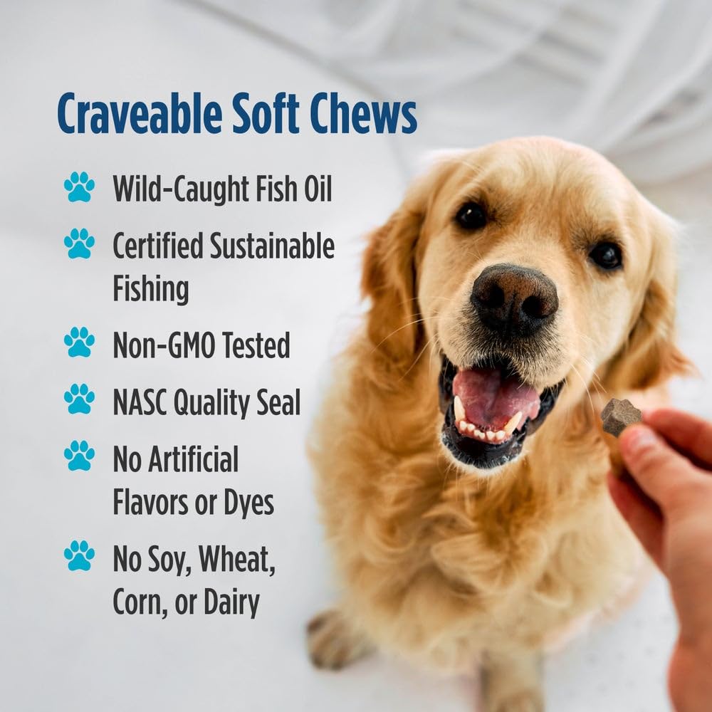 Nordic Naturals Pet Joint Support + Omega 3 Soft Chews for Dogs, Pork Bone Broth Flavored - Promotes Mobility, Hip and Joint Support with Omega-3 Fish Oil, MSM, EPA & DHA - 30 Non-GMO Chews Nordic Naturals Au supplements
