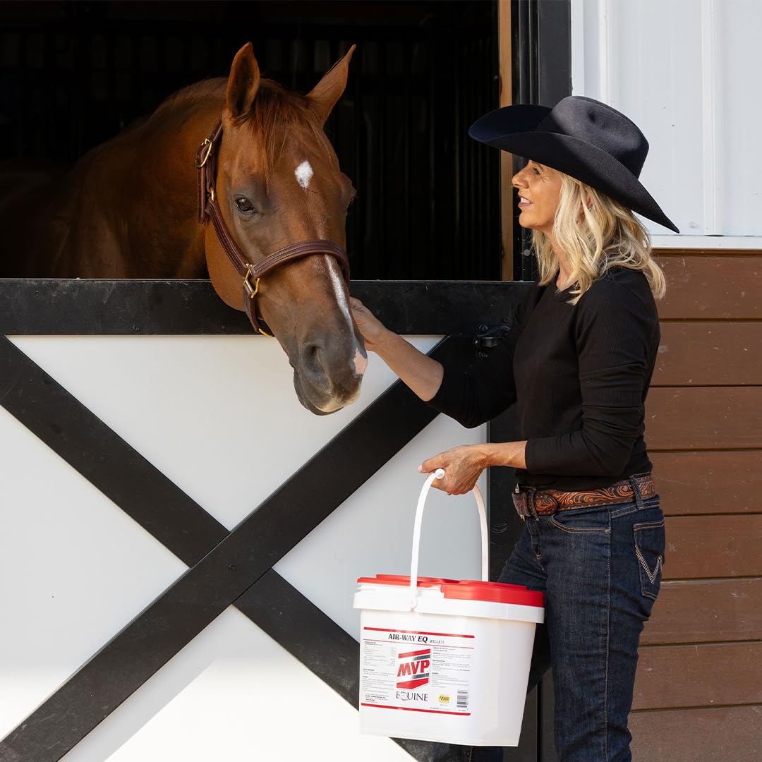 MVP Air-Way EQ Supports Healthy Lung Function and Seasonal Allergy Support in Horses, 5lb - 40 Servings MVP Au supplements