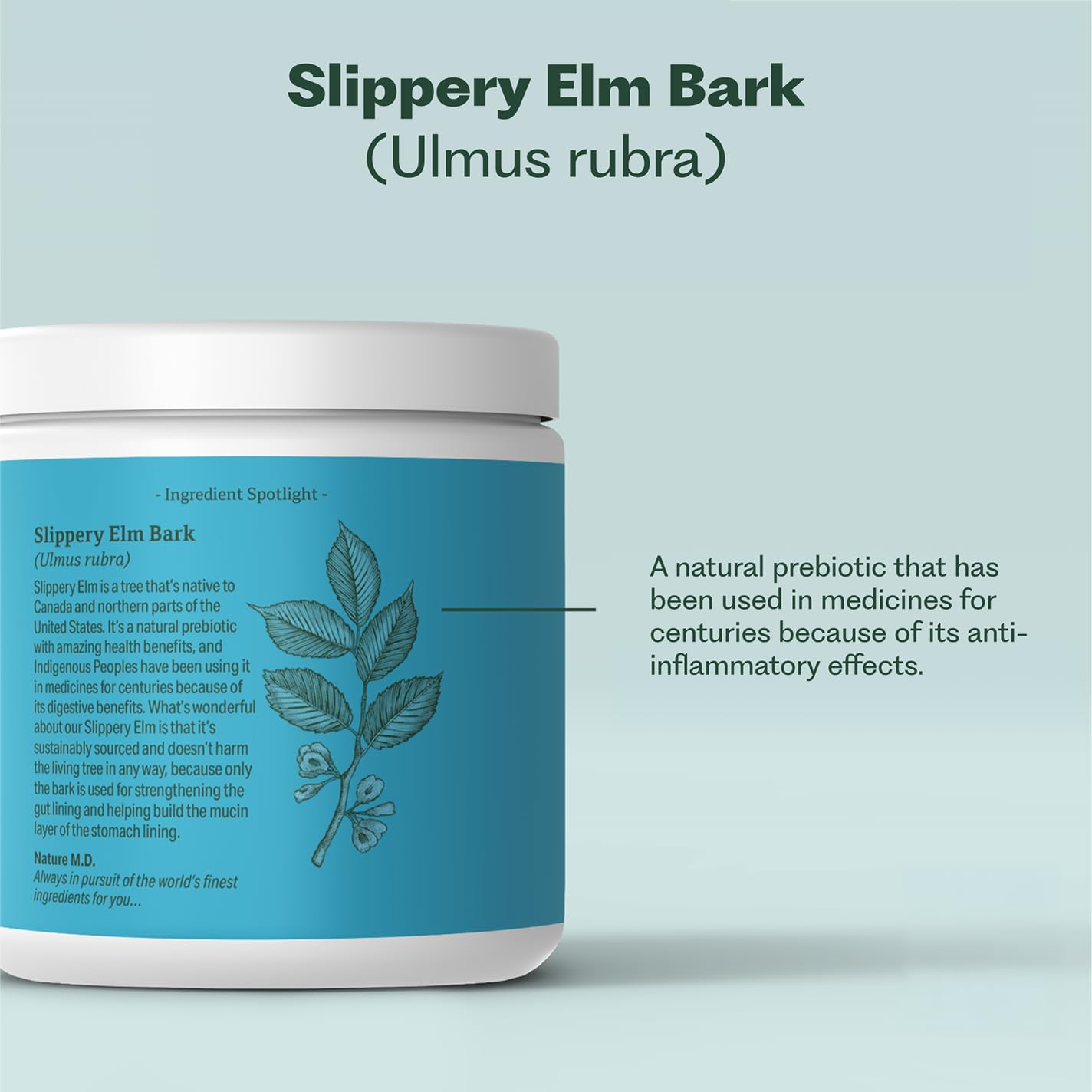 GutConnect 365 Gut Health Superfood Powder | Formulated With Slippery Elm Bark & L Glutamine | Vegan Certified | Allergen Free | Non-GMO | Soy Free | Made in the USA | 30 Servings – Vanilla Cinnamon Nature M.D. Au supplements
