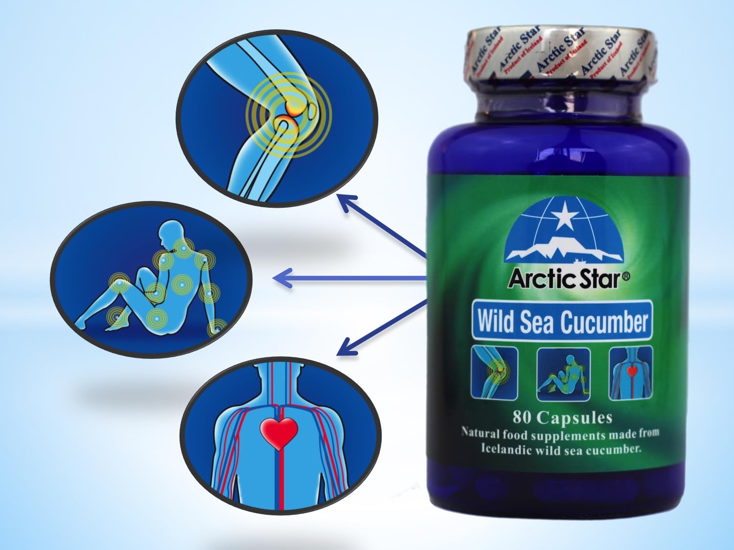 Arctic Star - Sea Cucumber Capsules - Natural Pure Iceland Atlantic Wild Caught Sea Cucumber Extract Supplement Pills - Joint Health t & Immune Health 400mg 80 Capsules/Bottle Arctic Star Au supplements