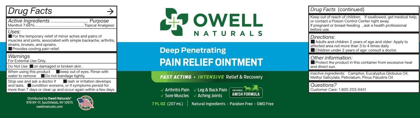OWELL NATURALS Arthritis Pain Relief Ointment with Arnica & MSM – Deep Penetrating Joint & Muscle Therapy for Knee, Back, Sore Muscles, Legs, 3.5 oz (2 Pack) Owell Naturals Au supplements