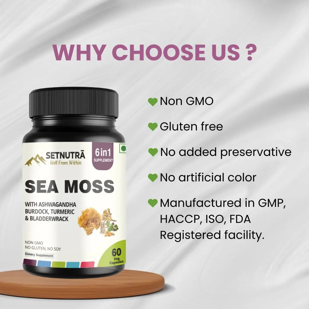 SETNUTRA Well From Within Sea Moss 6 in 1 Super Blend Ashwagandha Burdock Turmeric & Bladderwrack Immunity & Detox Support 60 Veg Capsules Non GMO No Gluten SETNUTRA Well From Within Au supplements