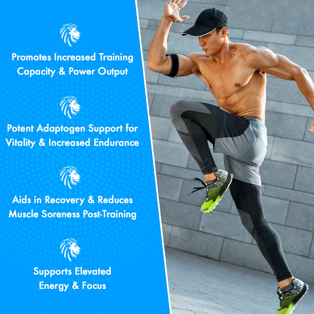 Alpha Lion Superhuman Sport Pre Workout Powder, Preworkout for Men & Women ALPHA LION Au supplements