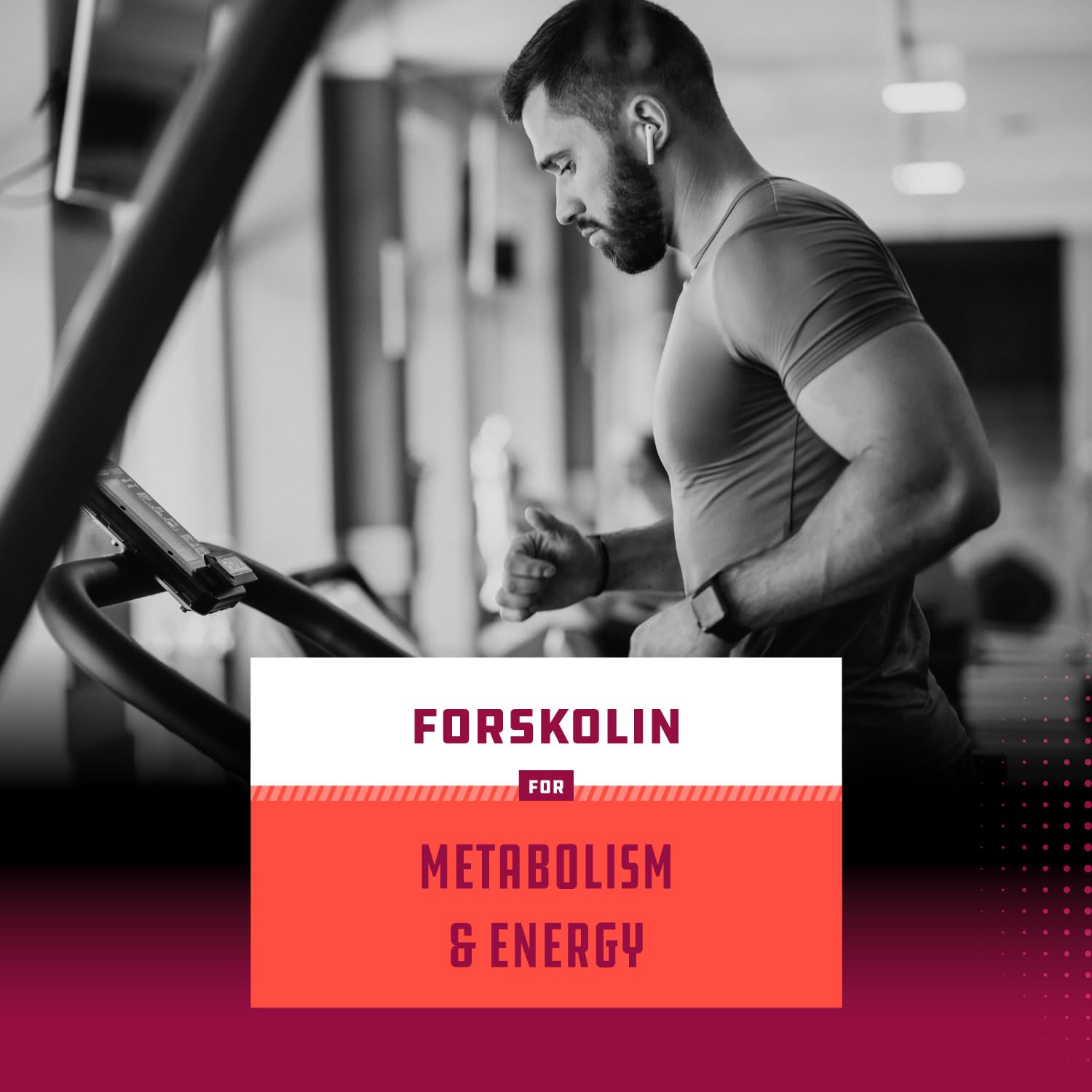 Pure Forskolin Extract - Fat Burning & Metabolism Boosting Weight Loss Supplement Natures Craft Au supplements