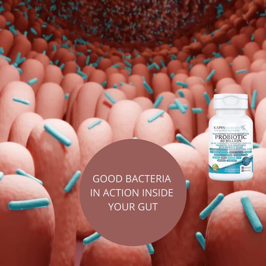 KAPPA NUTRITION Probiotic 60 Billion CFU 14 in 1 Formula with Prebiotics & Acidophilus for Women, Men & Adults, Shelf Stable, Acid Resistant, Natural Supplement 60 Capsules. KAPPA NUTRITION Au supplements