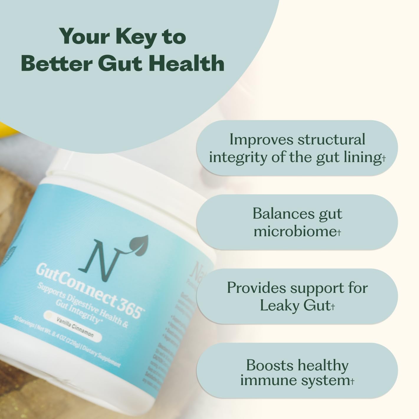 GutConnect 365 Gut Health Superfood Powder | Formulated With Slippery Elm Bark & L Glutamine | Vegan Certified | Allergen Free | Non-GMO | Soy Free | Made in the USA | 30 Servings – Vanilla Cinnamon Nature M.D. Au supplements