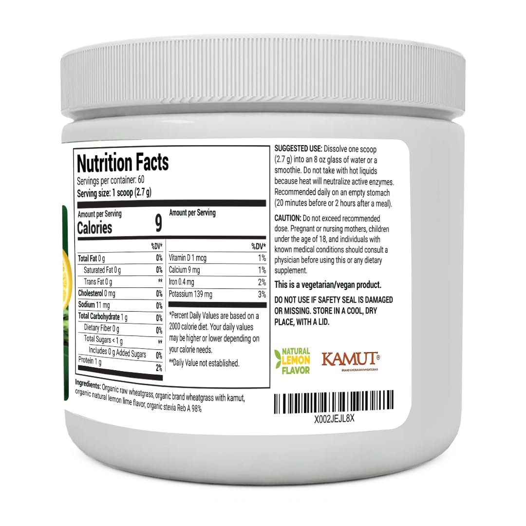 Dr. Berg's Raw Wheatgrass Juice Powder (60 Servings) - USDA Certified Organic Dr. Berg Nutritionals Au supplements