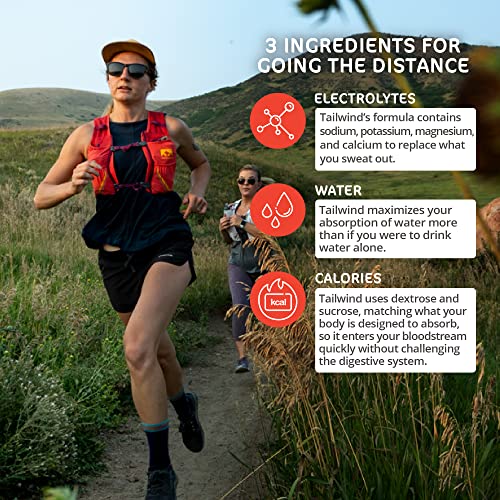 Tailwind Nutrition Endurance Fuel, Caffeine Drink Mix with Electrolytes Tailwind Au supplements